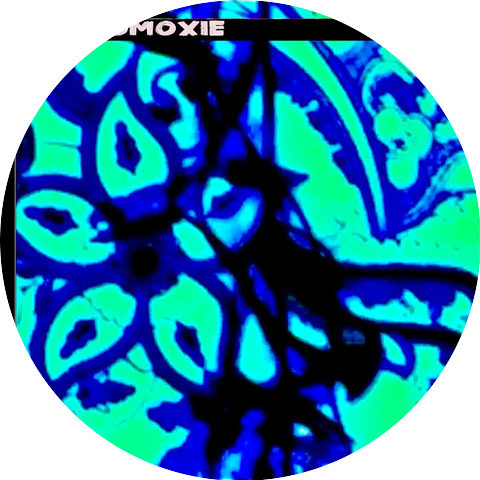 Stereomoxie