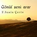 F. Semih Çetin