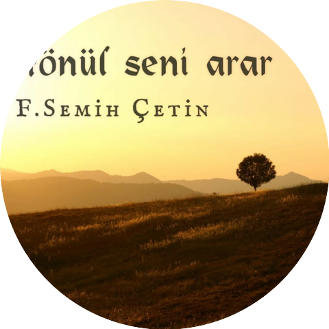 F. Semih Çetin
