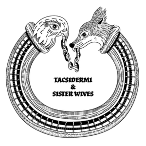Tacsidermi & Sister Wives