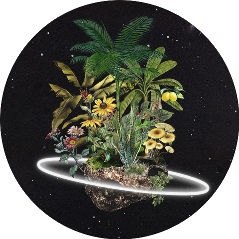 Cosmic Gardens - Short Edition