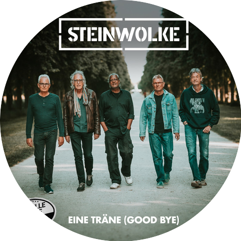 Steinwolke