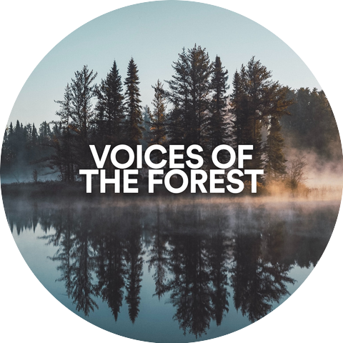 Voices of the Forest