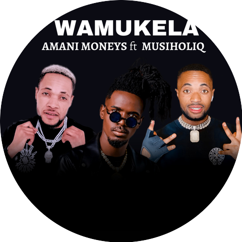Amani Moneys