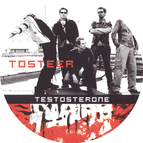 Tosteer
