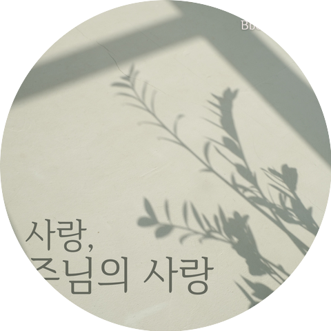 BboM's Music