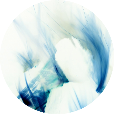 The Spirit Preservation Society