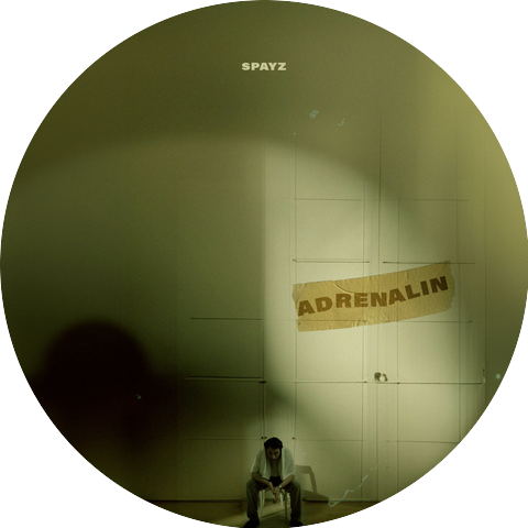 spayz