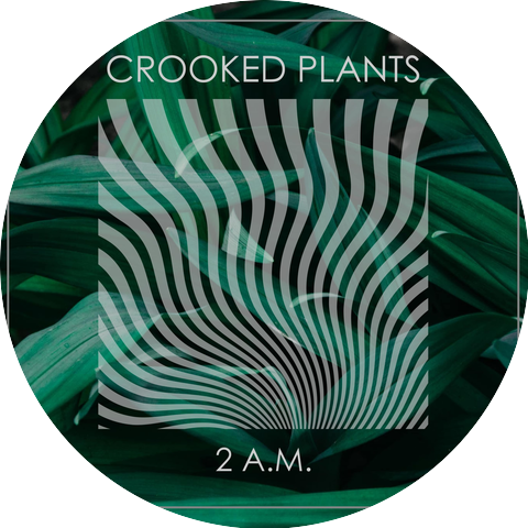 Crooked Plants