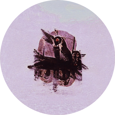 0TS