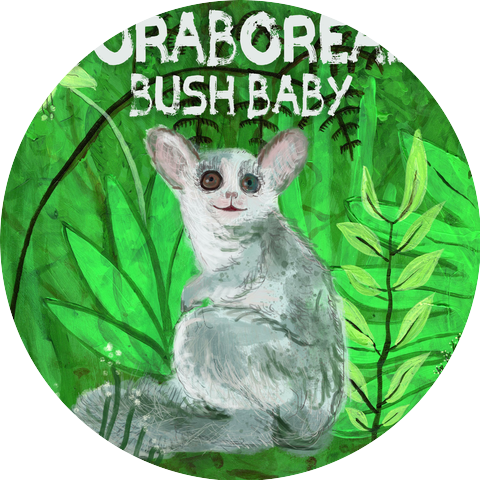 Adoraborealis