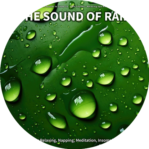 Rain Sounds To Fall Asleep To