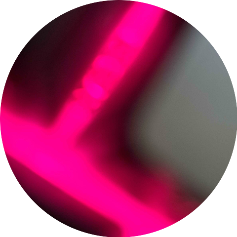 Pin