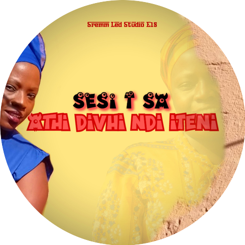Sesi T SA