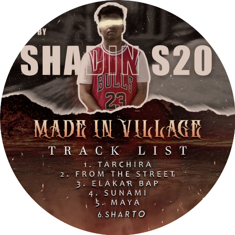 SHADIN S20