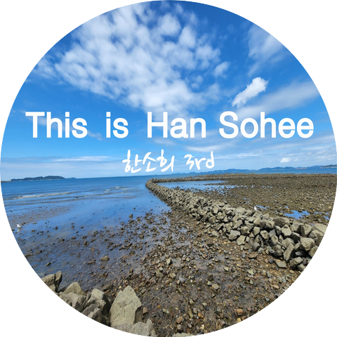 Han Sohee