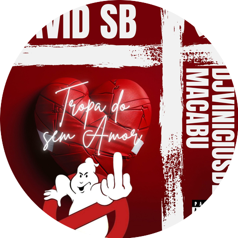 Dj vinicius de macabu