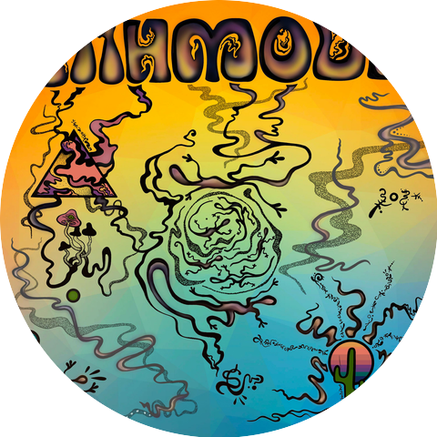 Salamander Collective