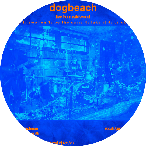 dogbeach