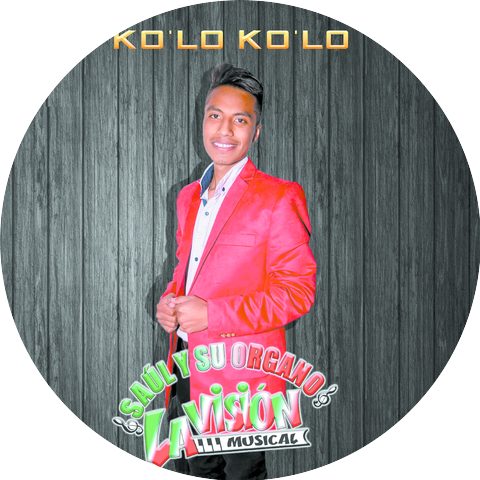 Saul y Su Organo La Vision Musical