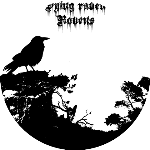 Dying raven