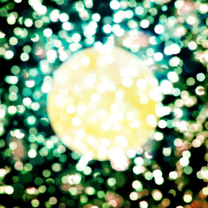 Plastic Tree