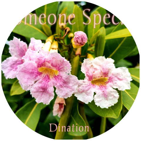 Dination