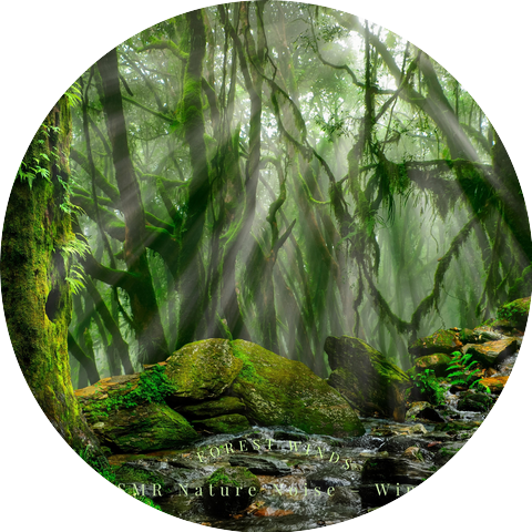 ASMR Nature Noise- Wind