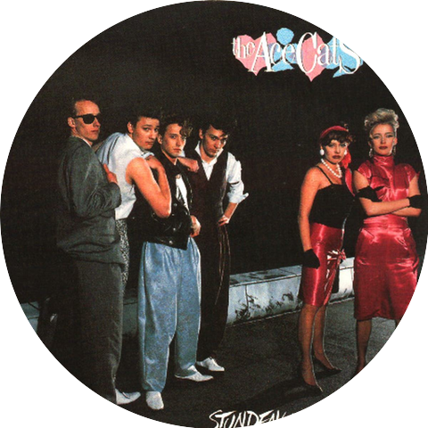 The Ace Cats