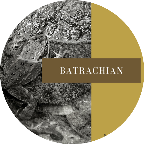 Batophobia