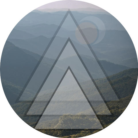 The French Broadcast