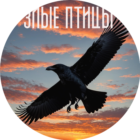 Алексей Соколов