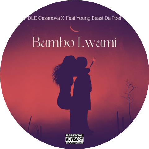 DLD Casanova X