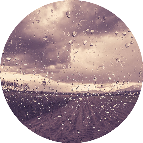 Rain and Thunder Sounds Playlist