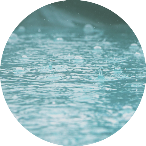 Brilliant Rain and Thunder Sounds