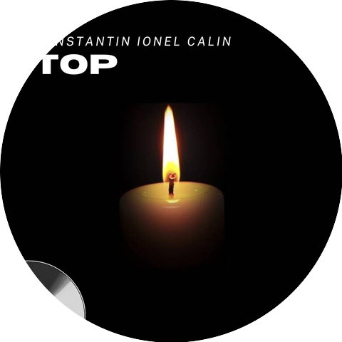 Constantin Ionel Calin