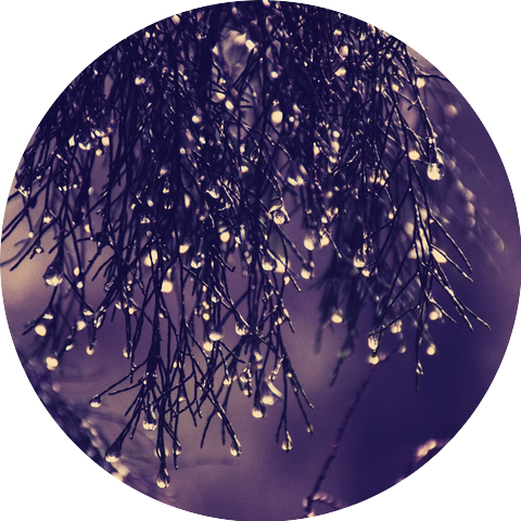 Cheerful Rain and Thunder Sounds