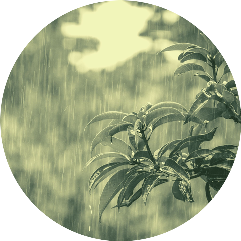 Easy Listening Rain and Thunder Sounds