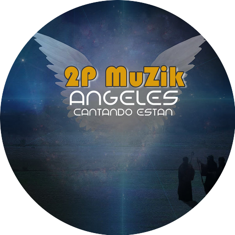 2P Muzik