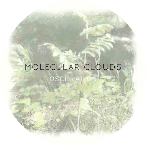 Molecular Clouds
