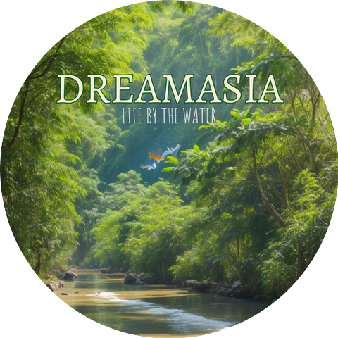 Dreamasia