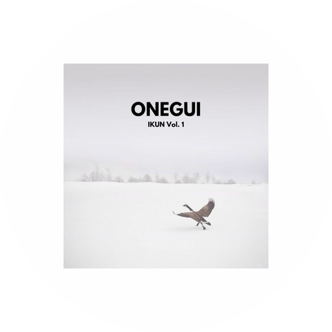 ONEGUI