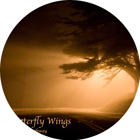 Butterfly Wings
