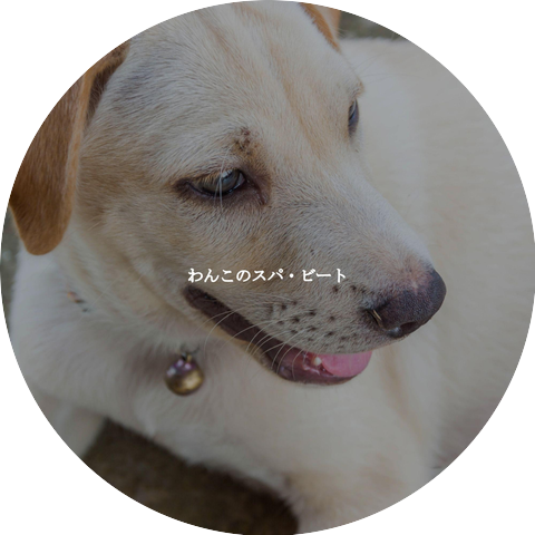 Musica Relajante Clásico