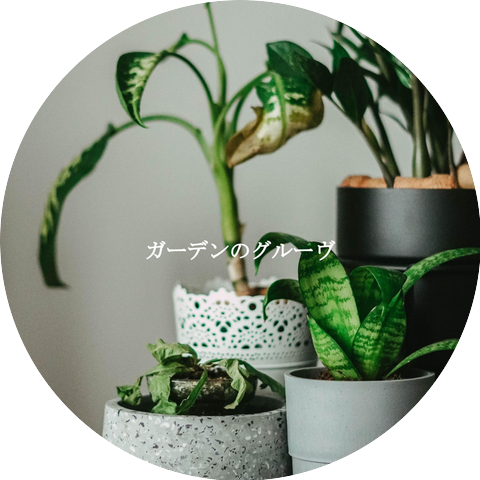 Música para Programar