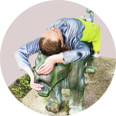 Wild Terrier Orchestra