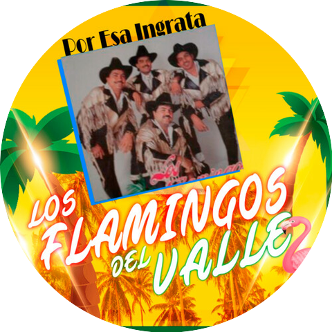Los Flamingos Del Valle