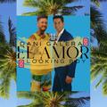DANI GALERA & Looking Boy