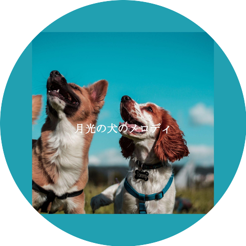 Latin Jazz Instrumental