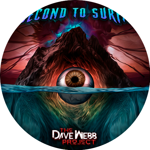The Dave Webb Project
